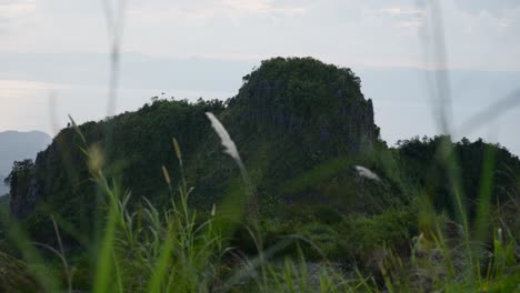 Malerische-Aussicht-Vom-Gipfel-Des-Osmeña-Bergs-Auf-Der-Insel-Cebu,-Philippinen