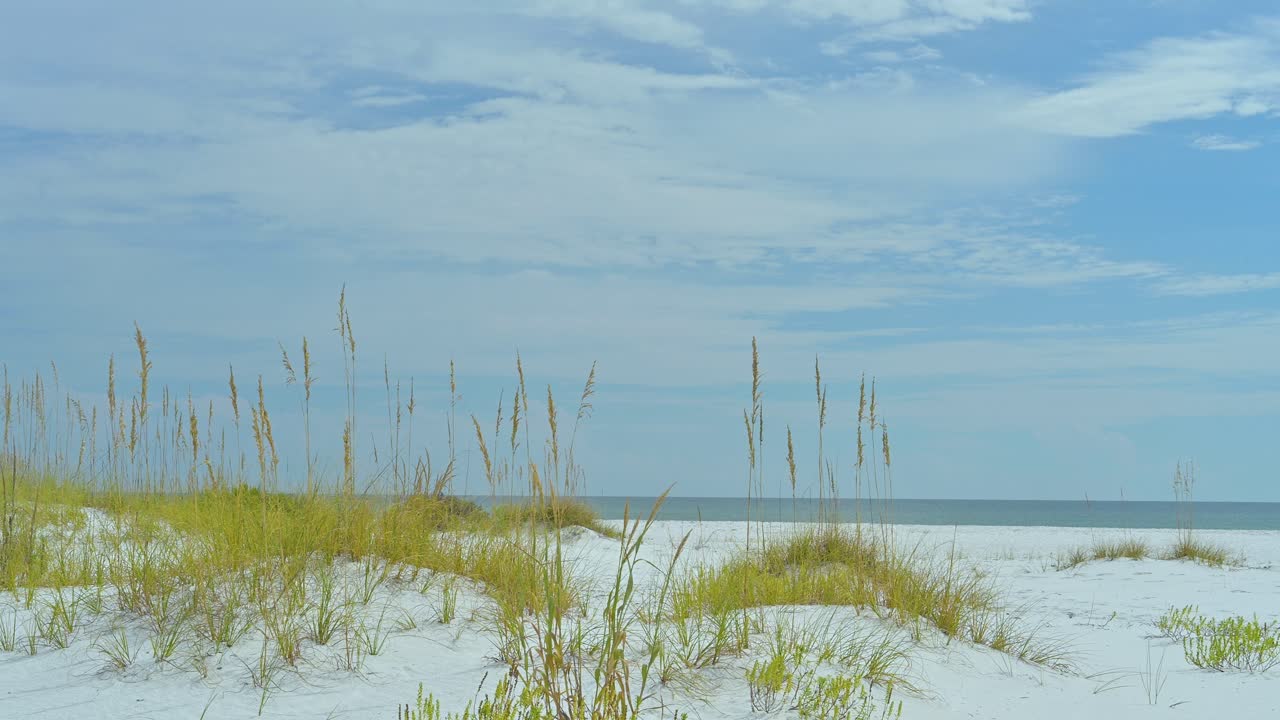 맑은 드라이브 하늘, 백사장, 맑은 에메랄드 물 펜사콜라에서 나바르 해변까지 국가 해안에 바다 귀리가 있는 모래 언덕