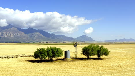 proporcionar alimentos para una nación