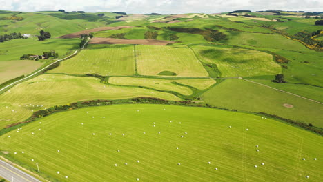 Zona-De-Campos-De-Agricultura,-Pastoreo.-Nueva-Zelanda,-Gore