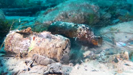 una lata de refresco descartada que se recoge del fondo del océano durante una inmersión de limpieza con equipo de buceo