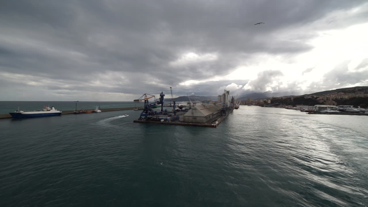 갈매기가 바다 위를 날고 있는 이탈리아 사보나 항구를 떠나는 유람선