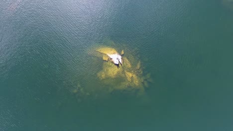 una espectacular toma de un dron en 4k de una canoa atracada en una pequeña isla rocosa en el medio del estanque parker en casco, maine, estados unidos.