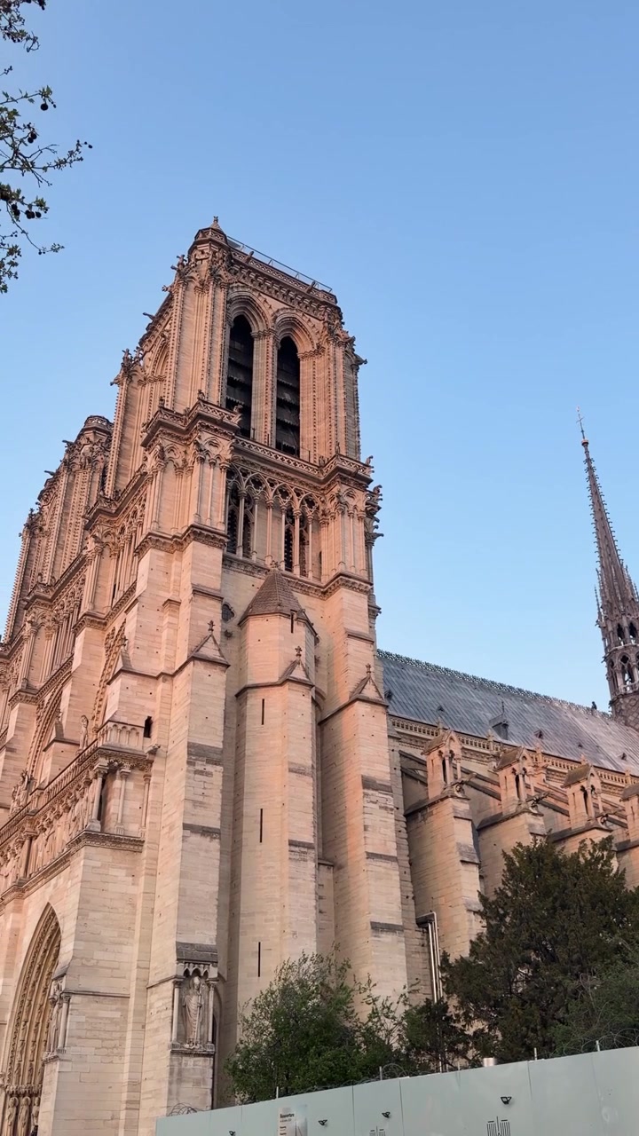 Paris'te, yumuşak akşam ışığında parlayan Notre-Dame Katedrali'nin yandan genel çekimi, dikey