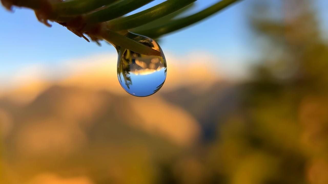 Vista macro estrema di una singola goccia d'acqua sospesa da un ago verde lucido, che mostra la tensione superficiale, il riflesso invertito del paesaggio, un morbido bokeh e un caldo bagliore dell'alba su una natura tranquilla