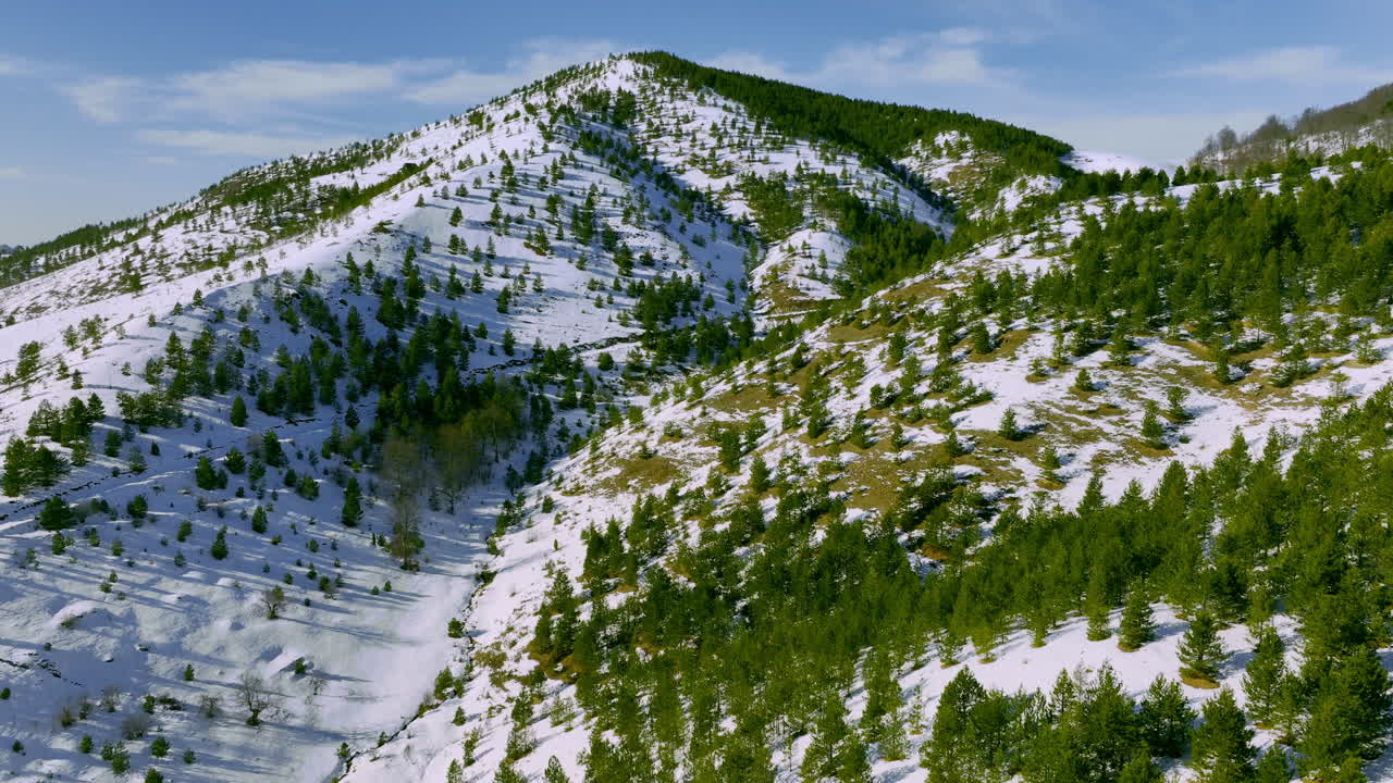 Snowy Mountains with Pine Trees and Valley
