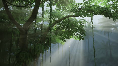 sunlight filtering through tree leaves
