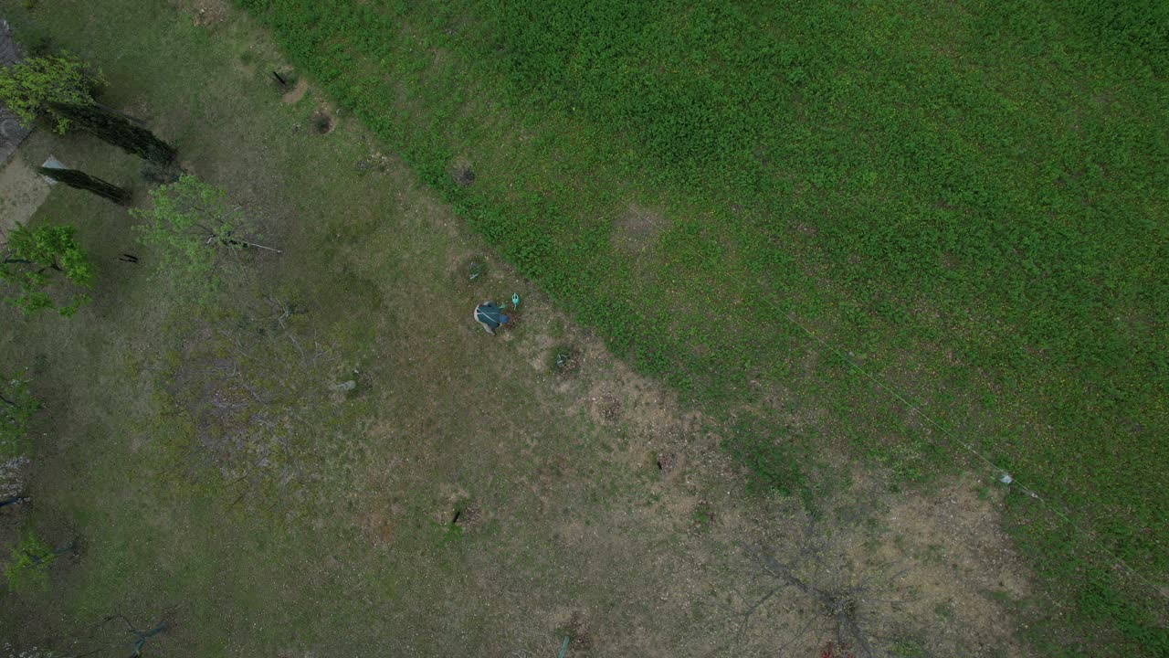 Vista aerea con drone di un uomo anziano che pianta giovani alberi in un campo di campagna, illustrando l'invecchiamento attivo, uno stile di vita sano per anziani, attività fisica all'aperto e una vita rurale sostenibile