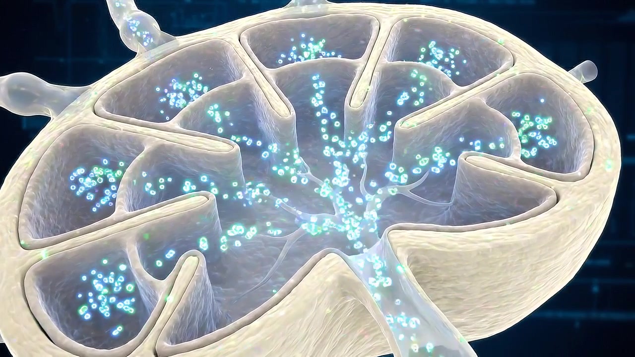 Struttura tissutale circolare microscopica contenente particelle cellulari luminose