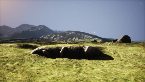 green meadow on the background of the mountains