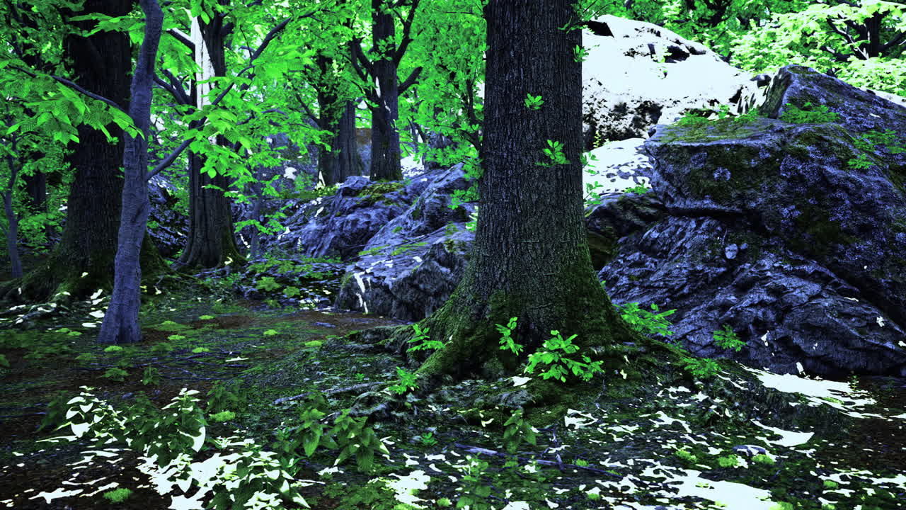 Vibrant forest landscape with lush greenery and rocky terrain during daylight