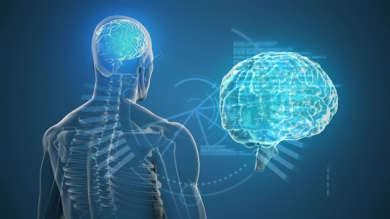 animación del cerebro y del ser humano sobre fondo azul