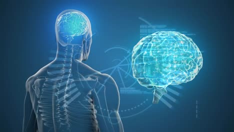 animation of brain and human over blue background