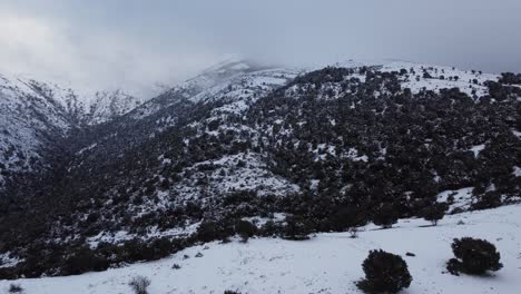 Epic-aerial-shot-of-high-snowy-mountain-covered-with-forest-trees,-forward