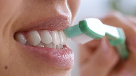una mujer cepillándose los dientes.