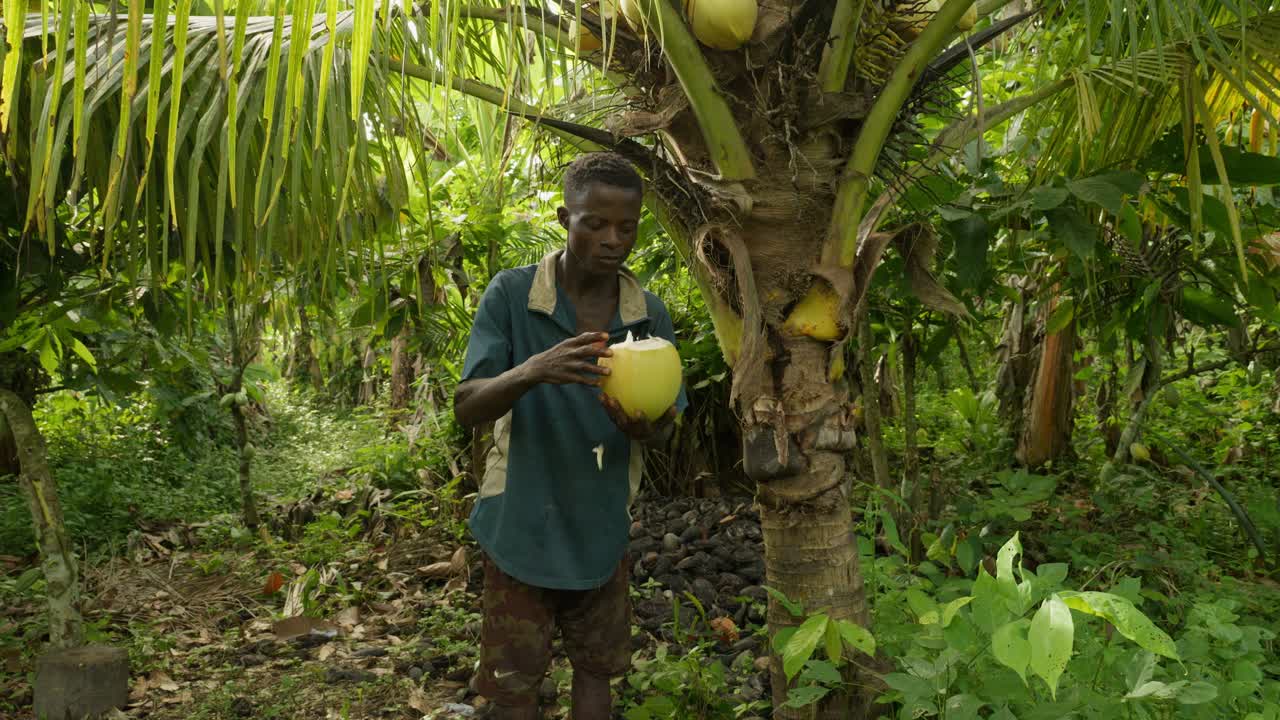 hombre negro africano bebiendo agua de coco fresca y saludable dentro de una selva tropical usando un gran cuchillo machete