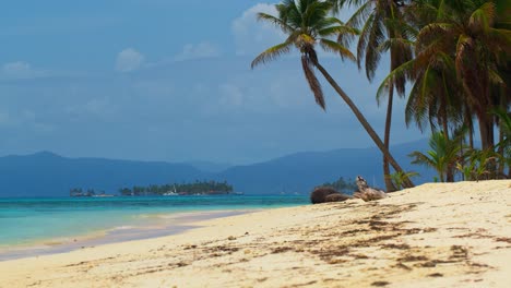 a bright, sunny wide shot of chichime island in panama's san blas archipelago, with crystal-clear waters, soft white sand, and palm trees swaying in the breeze