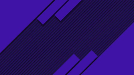 Animation-of-purple-rectangles