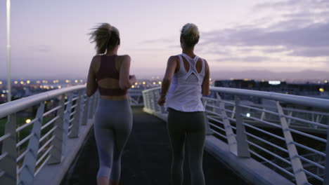 Zwei-Attraktive-Und-Athletische-Junge-Frauen-Trainieren