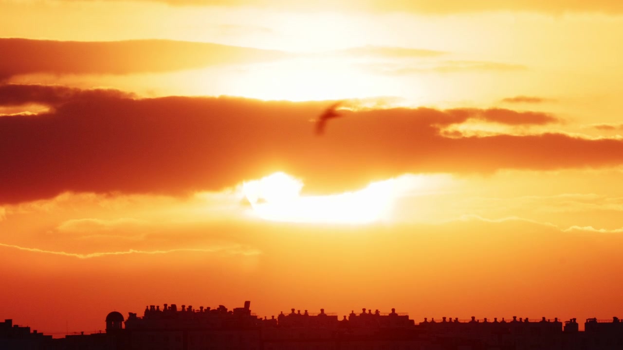 Bright golden sunset illuminating a modern city skyline
