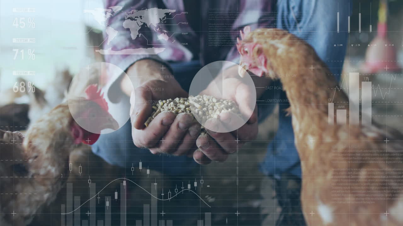 Farmer crouching and feeding hens inside poultry barn, with farm tech overlays showing bar charts