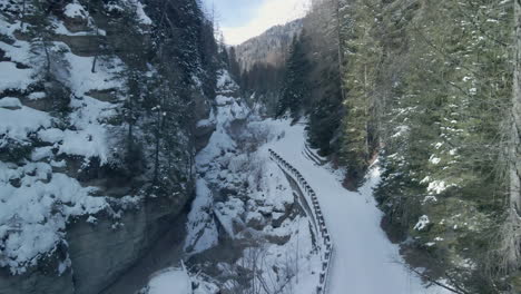 País-De-Las-Maravillas-De-Invierno:-Paisaje-De-Bosque-Sereno-Con-Montañas-Cubiertas-De-Nieve-Y-árboles