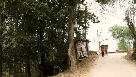Personas-Cargando-Materiales-En-Un-Doko-En-Las-Zonas-Rurales-De-Nepal