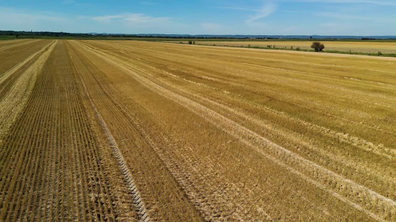 campos de agricultores de oro amarillo recién cortados en pleno verano 2