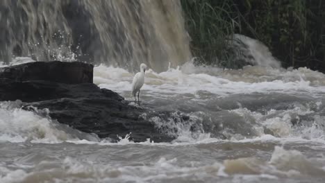 Water-flowing-from-water-fall-at-Bhatinda-water-falls-in-Dhanbbad,-Jharkhand-in-India