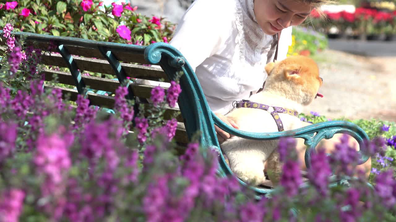 dueño de mascota y perro pomeraniano sentado en un banco en el jardín de flores