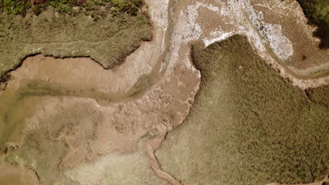 pantanos y marea baja al mediodía