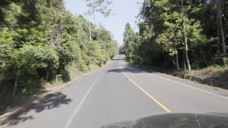 4k clip of the front view from a black car driving through a road crossing a vast jungle and national park on a very sunny morning