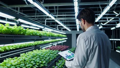 scientist monitoring hydroponic plants in vertical farm