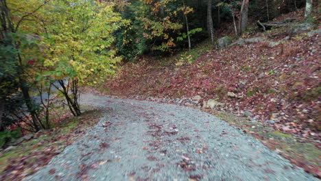 Cinematic-drone-shot-traveling-down-a-gravel-mountain-road-with-the-fall-colors-in-the-blue-ridge-mountains-in-North-Carolina