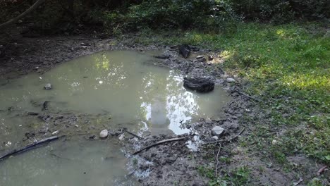 brutalist ugly concrete water meteorolotical tower in reflextion of a puddle in a muddy forest mosh pit green water