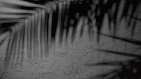 shadow of palm leaves on textured black plaster wall with natural sunlight. tropical plant silhouette on stucco surface. design for wallpaper, banner, postcard, greeting card, poster, vertical