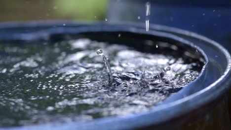 rain drops filling up rainwater harvesting barrel, closeup slow motion