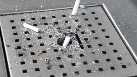 cigarette butts in an ashtray