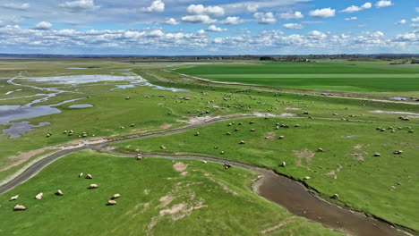 mont saint-michel's coastal setting accentuates its rich cultural heritage.