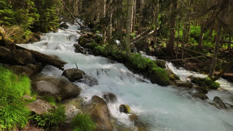 Mountain-River-in-the-wood.-Beautiful-wildlife-landscape.