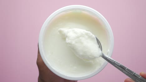 el yogur de la cuchara del recipiente