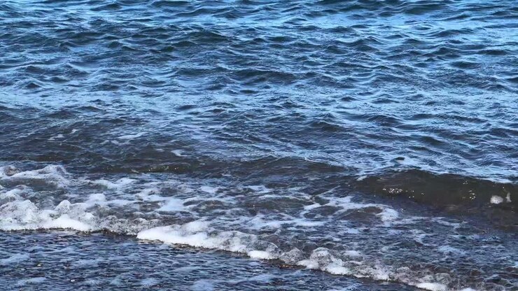 Primo piano di dolci onde oceaniche con leggera schiuma, atmosfera serena sul mare.