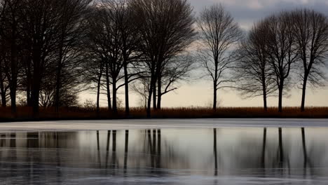 bare trees reflecting in frozen water