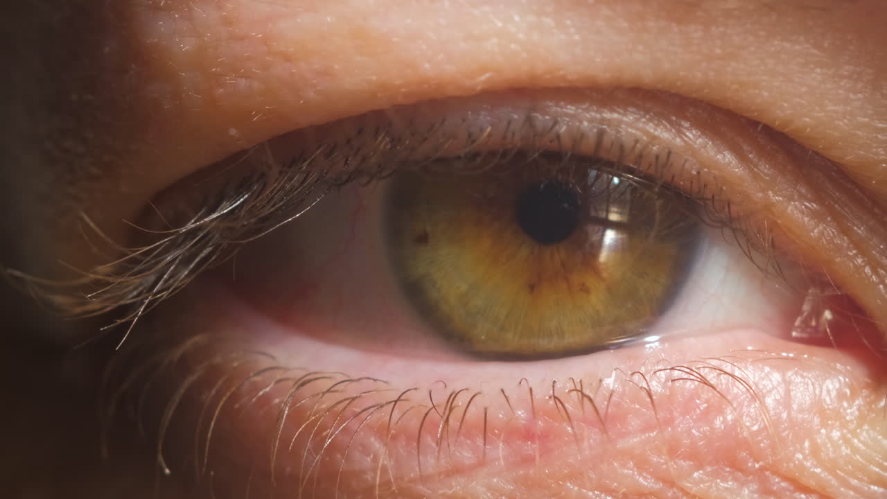 4k 비디오에서 인간의 녹색 눈 홍채를 극단적으로 닫습니다.