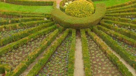 beautiful public gardens of chateau d'angers in the city of angers, france - high angle