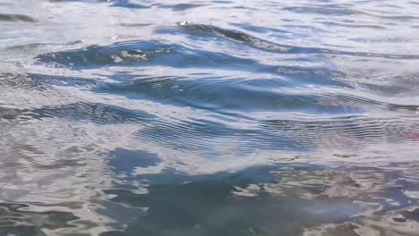 blue water surface, waves on wild lake, close-up