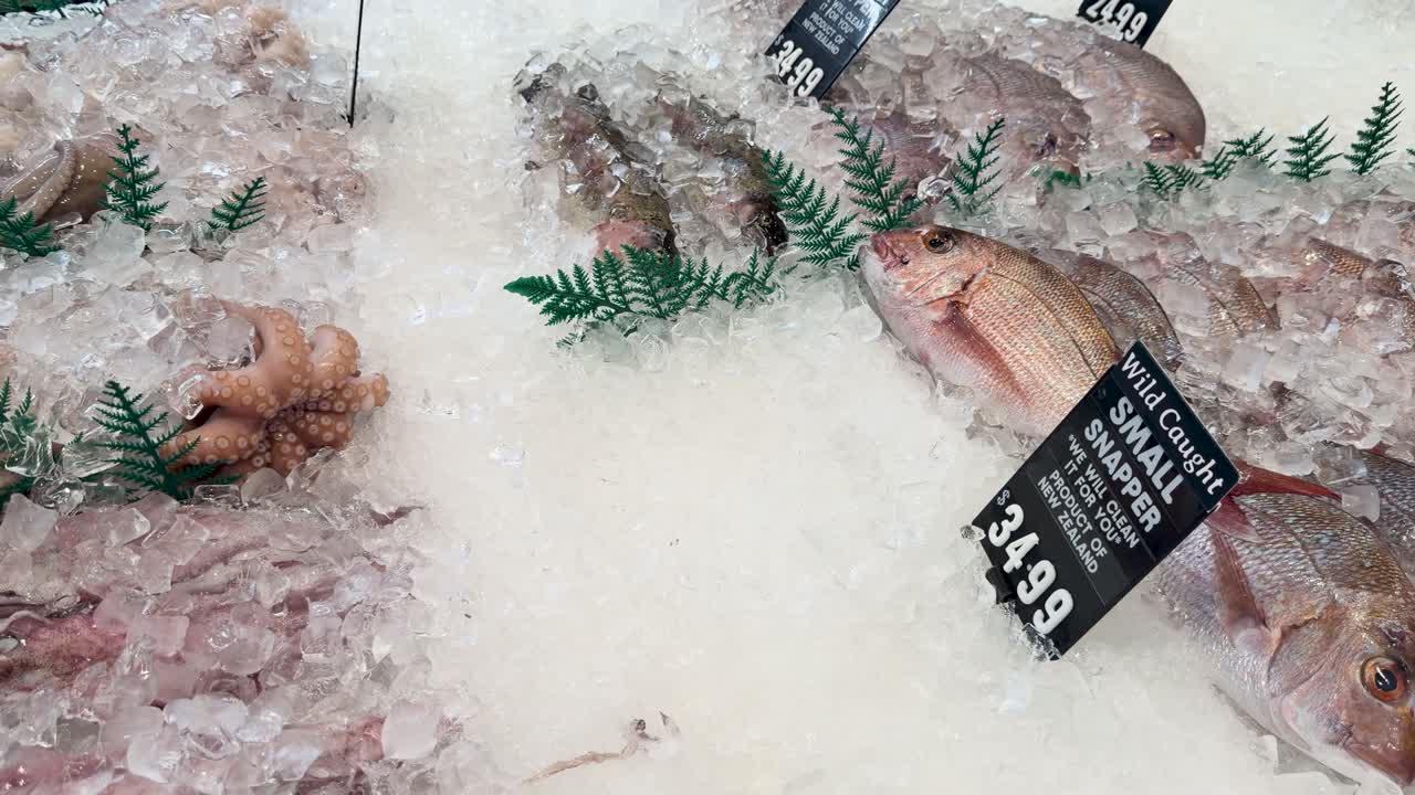 Um plano panorâmico de peixes inteiros frescos expostos no gelo em um mercado de frutos do mar australiano