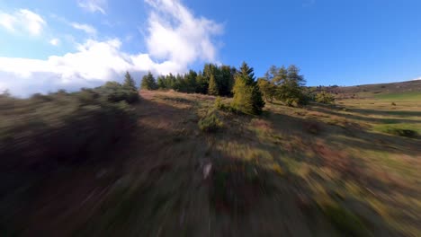 Spectacular-dynamic-fpv-flight-over-green-mountain-fields-between-trees-of-Bondone-in-summer,Italy