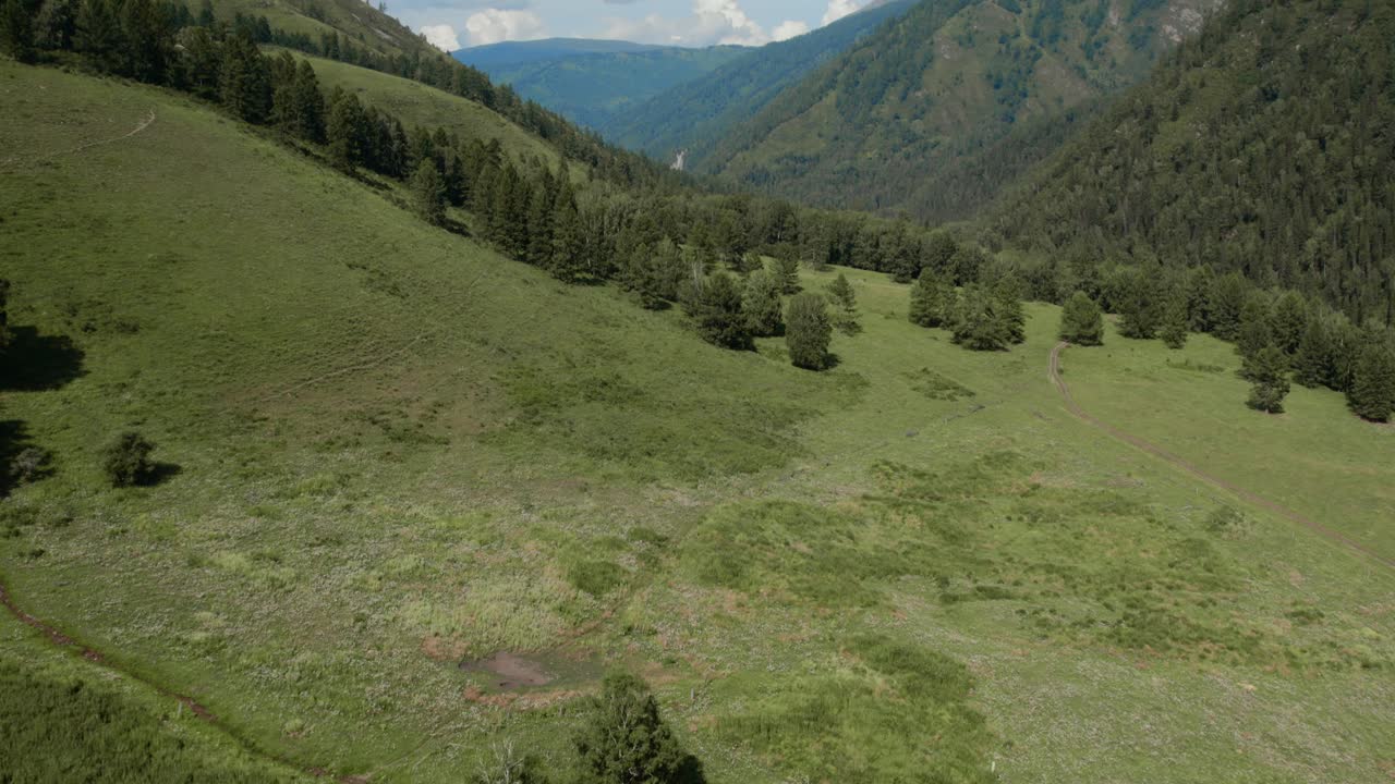 Riprese aeree con drone su un'ampia valle verde con dolci colline, una foresta di conifere e sentieri sterrati sui pendii montuosi nella Repubblica dell'Altai, Russia, in una soleggiata giornata estiva.