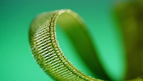 extremely close up of ribbon ketupat